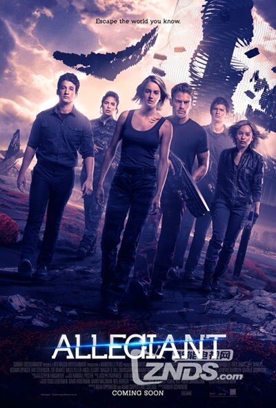 巷弄深處的影視寶藏，電影搶先版探秘