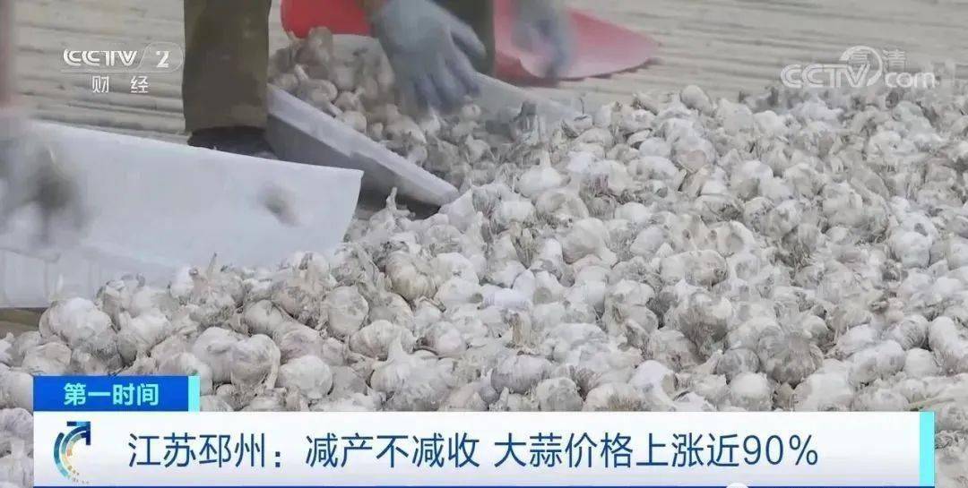 邳州大蒜今日行情更新，新鮮市場(chǎng)動(dòng)態(tài)解析