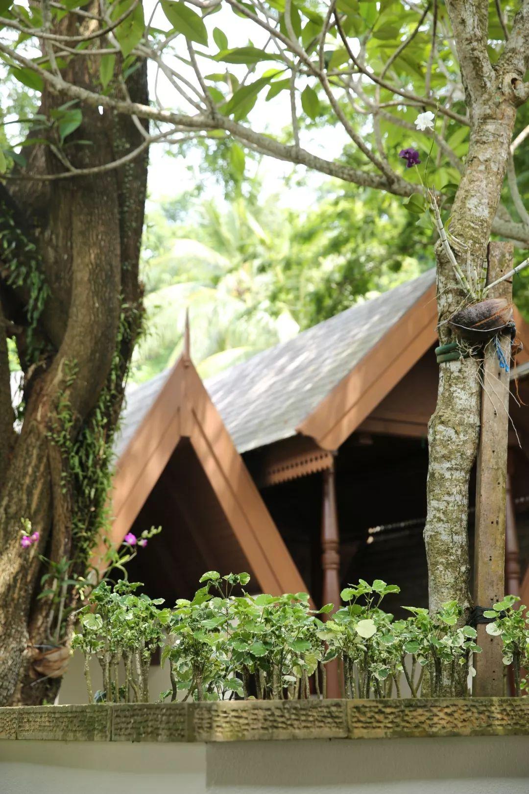 明星sl的溫馨日常，愛與陪伴的力量