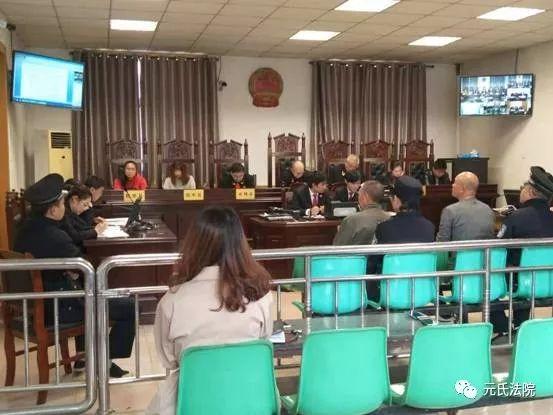 元氏最新案件，心靈與自然的神秘交織之旅