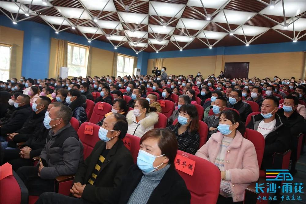 雨花區(qū)跳馬最新資訊，小巷深處的獨(dú)特風(fēng)味探索