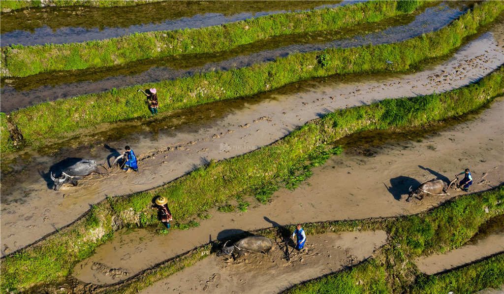 女人的地男人犁最新章節(jié),女人的地男人犁最新章節(jié)，探索現(xiàn)代兩性關(guān)系的深度發(fā)展