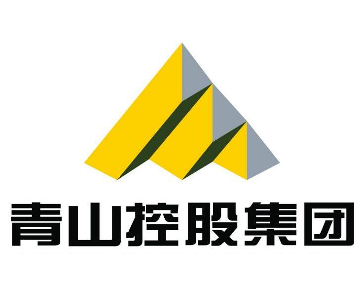 青山控股是否上市？解析其上市計(jì)劃與現(xiàn)狀