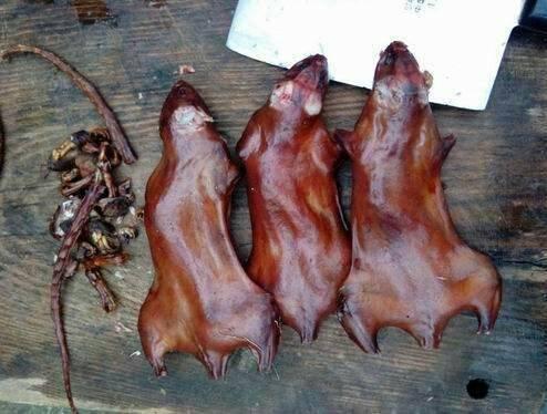 湛江田鼠收購信息與實現(xiàn)夢想，學(xué)習(xí)變化，自信助力前行