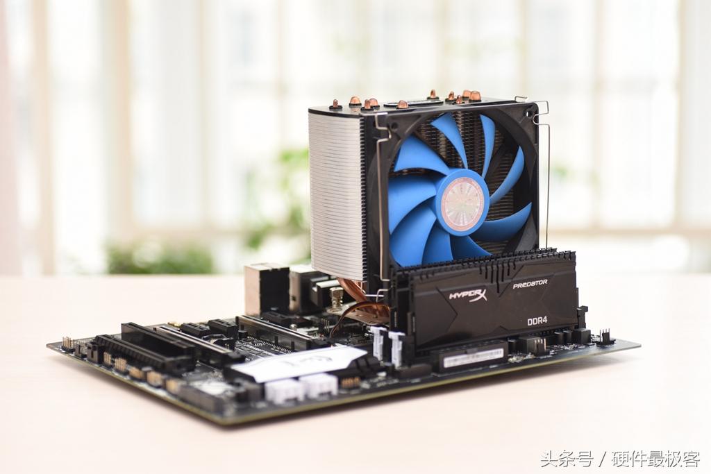 銀環(huán)蛇的價(jià)格，蛻變之路的自信與成就感展現(xiàn)