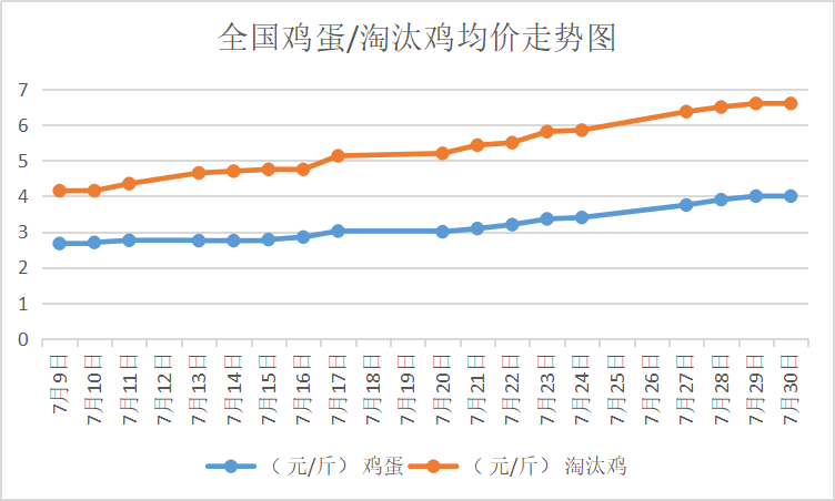 北京大洋路雞蛋今日行情，探尋內(nèi)心平靜的雞蛋之旅