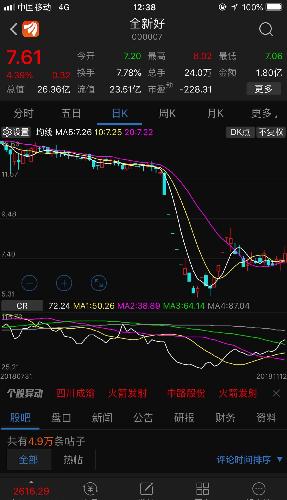 000007股票,揭秘000007股票，投資潛力與風險并存