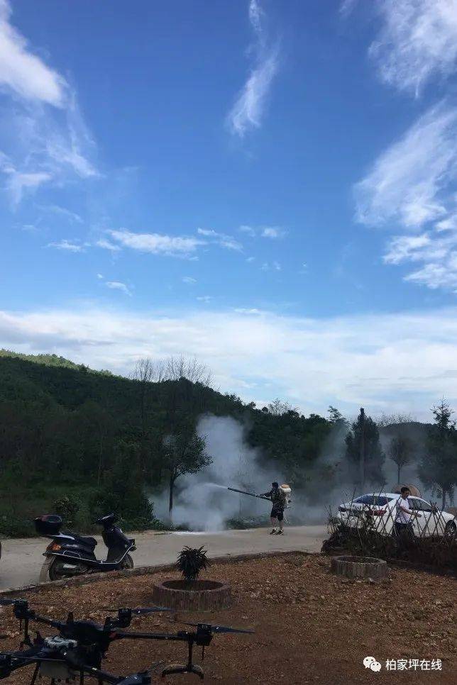 最新蝗蟲災(zāi)害動態(tài),最新蝗蟲災(zāi)害動態(tài)，應(yīng)對與防治的詳細(xì)步驟指南