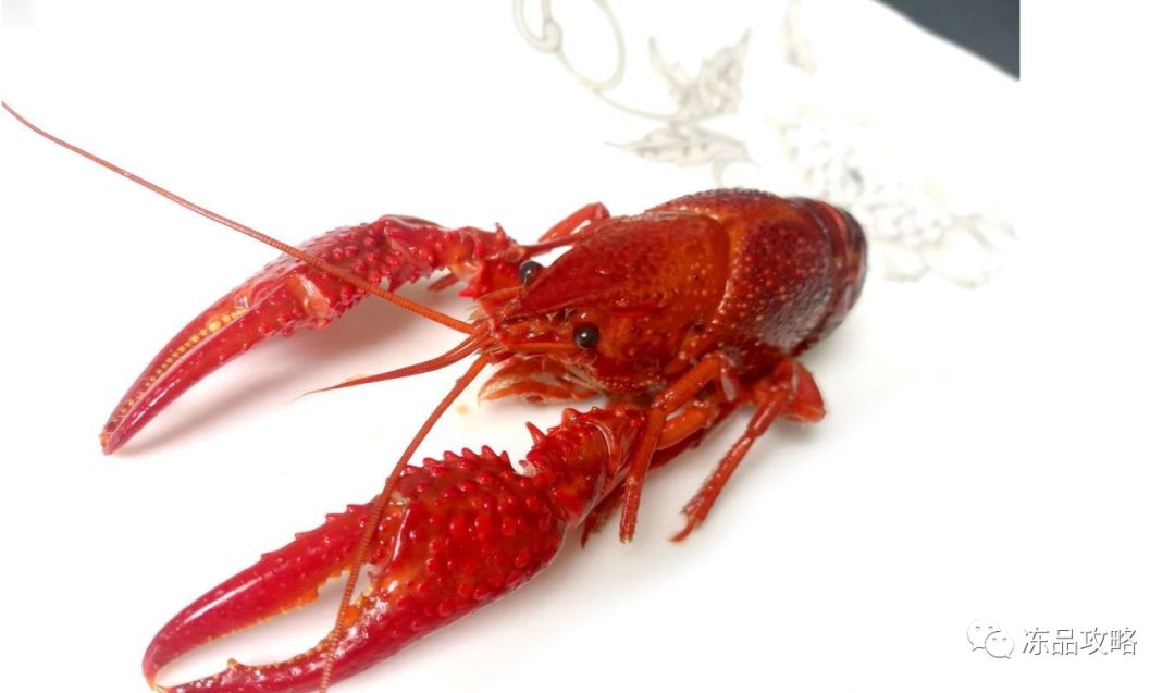 龍蝦價(jià)格變遷，時(shí)代印記與特定影響因素的探究