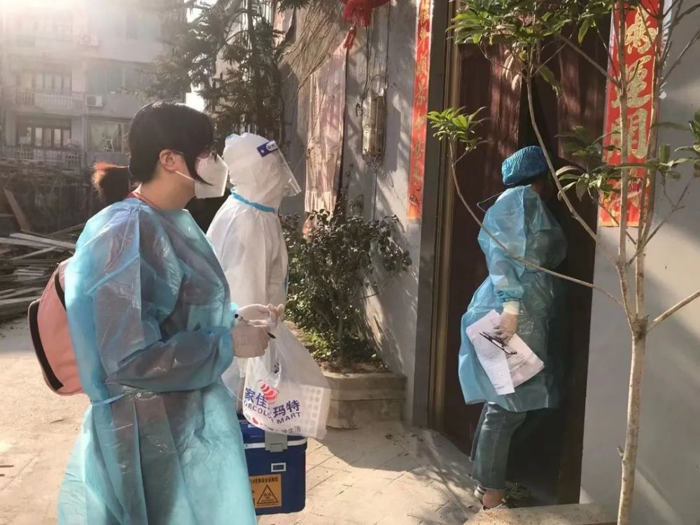 福鼎最新疫情動態(tài),福鼎最新疫情動態(tài)，觀點闡述與分析