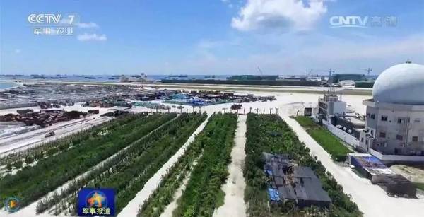 南沙島礁建設(shè)最新進(jìn)展揭秘，南沙建設(shè)進(jìn)展圖片探秘與小巷深處的神秘寶藏