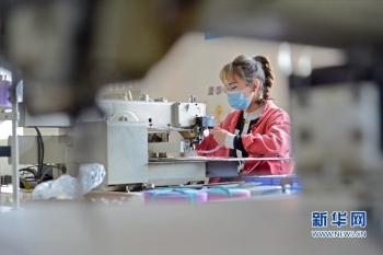 泉州市包袋廠招聘信息揭秘，小巷中的獨特工廠探秘之旅