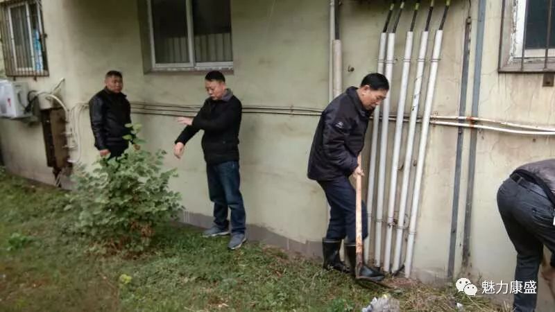 草社區(qū)最新動(dòng)態(tài)，友情綠意下的愛與陪伴的種子生根發(fā)芽