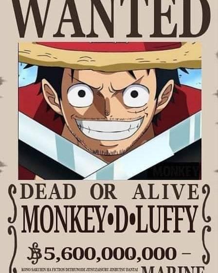 草帽團(tuán)最新懸賞任務(wù)，海洋之謎與友情之溫暖探索之旅