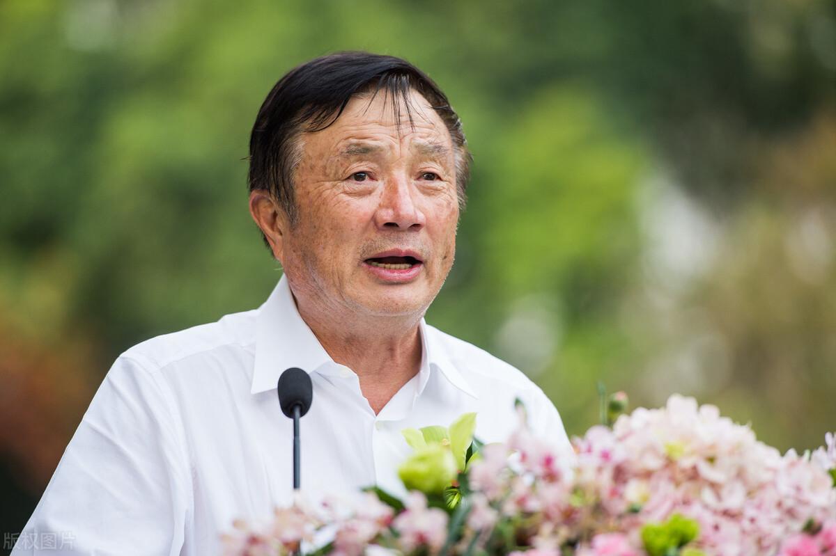 芯片的奇妙股市之旅，探索芯片之家的股票版圖