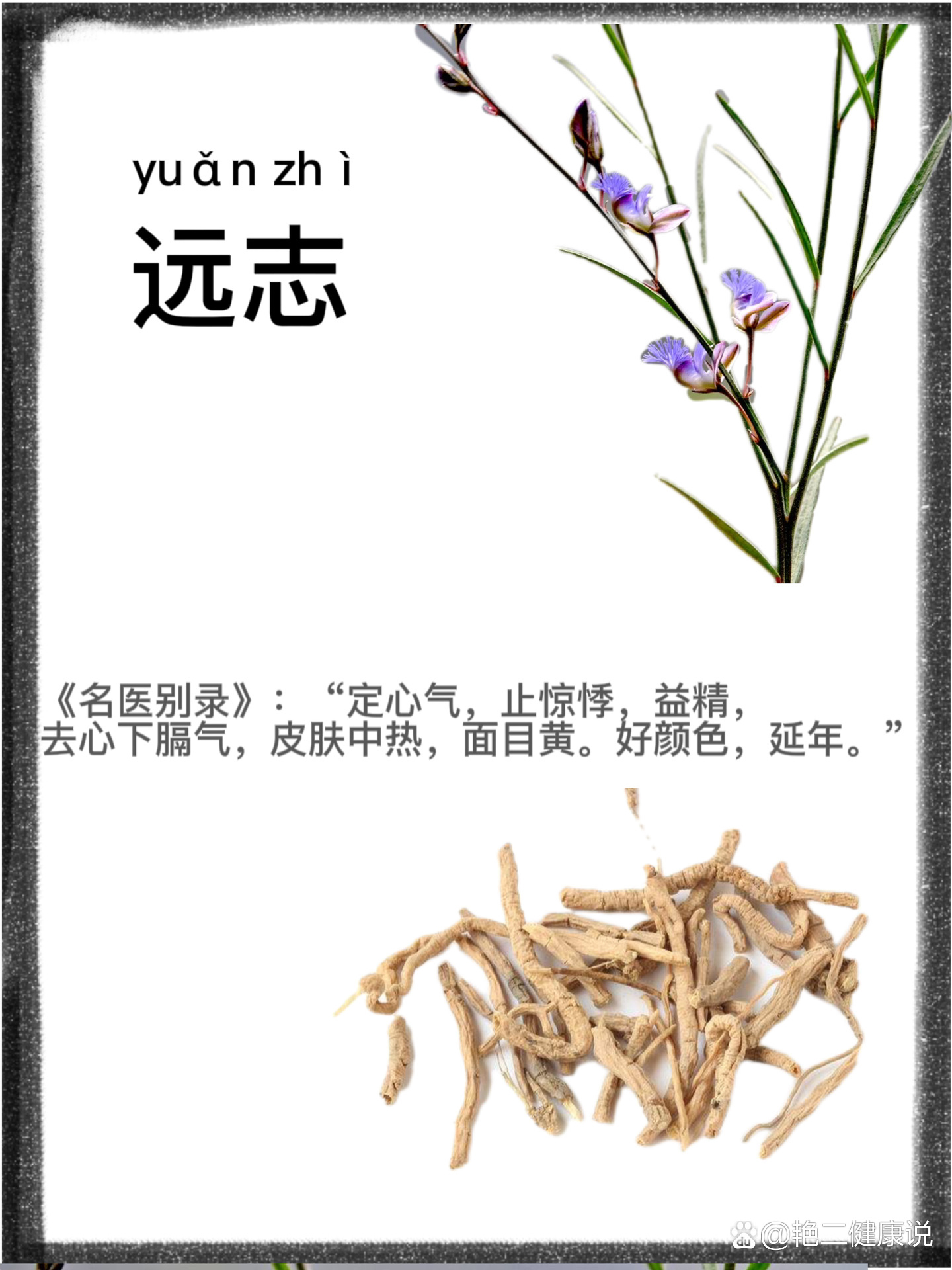 遠(yuǎn)志名最新講道視頻,遠(yuǎn)志名最新講道視頻，探索信仰的深邃世界