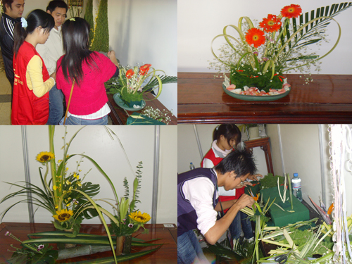 最新花藝風(fēng)采，展現(xiàn)創(chuàng)造力與自信的絕美藝術(shù)