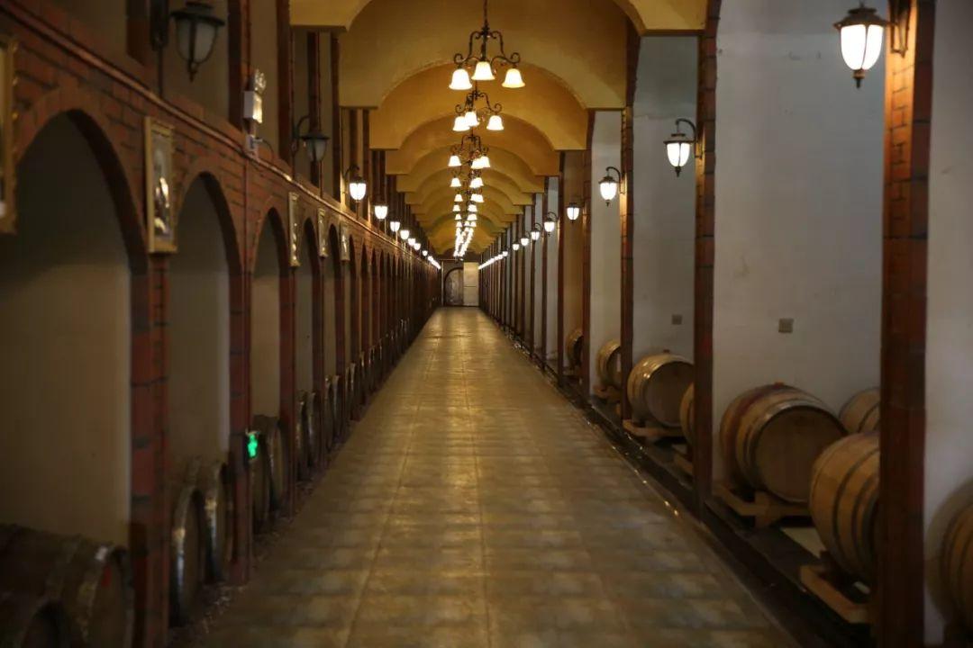 蘇州信匯達(dá)最新動態(tài)，友情的紐帶與溫馨的陪伴