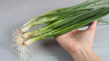 隆化新鮮資訊,隆化新鮮資訊，高科技產(chǎn)品引領(lǐng)未來，體驗(yàn)前所未有的智能生活