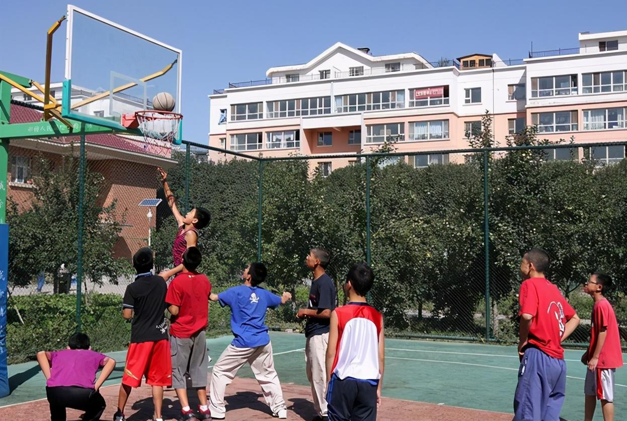 高考最新動態(tài),高考最新動態(tài)，一場心靈與自然的奇妙旅行