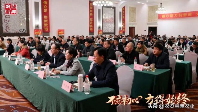 2025年天天彩免費資料大全,創(chuàng)新發(fā)展策略_潮流版9.938