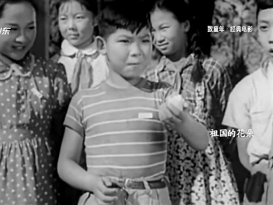 祖國的花朵電影，深度探討影響與啟示