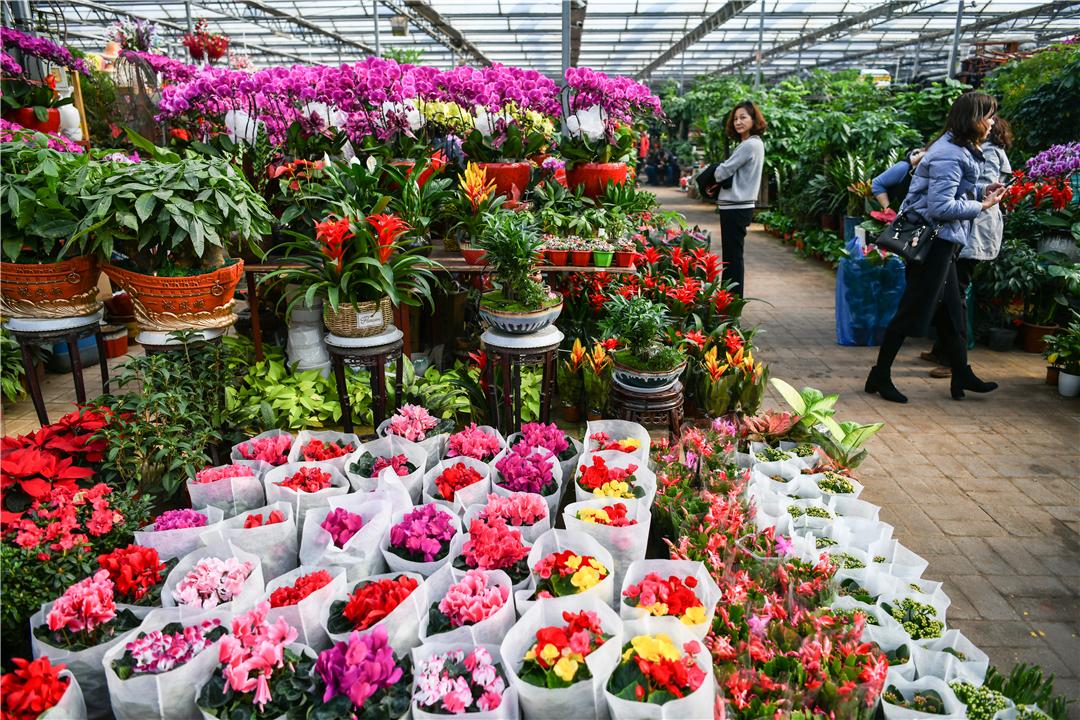 科技引領(lǐng)下的花卉市場新紀(jì)元，各種鮮花批發(fā)價(jià)格解析