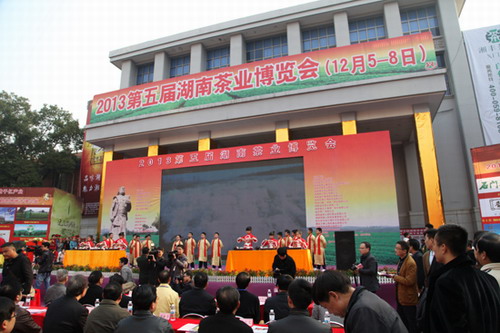 陳社強(qiáng)最新動(dòng)態(tài)揭秘，最新進(jìn)展與活動(dòng)報(bào)道??