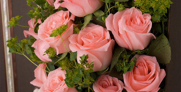 今晚9點(diǎn)30開什么生肖明 2024,快速問題處理_藝術(shù)版28.771