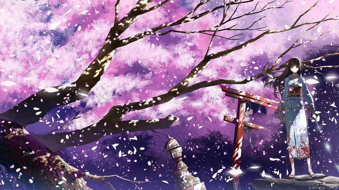 櫻花動漫電腦，值得關(guān)注還是過客？品牌深度解析