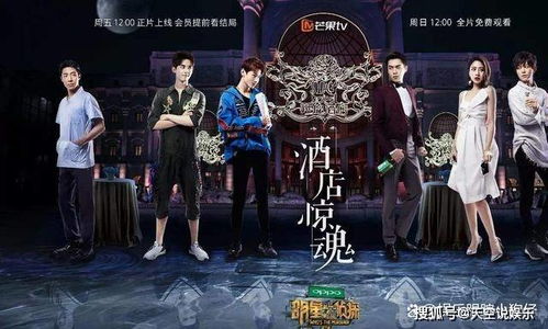 明星大偵探第八季免費(fèi)觀看，心靈與自然的奇妙探險(xiǎn)之旅