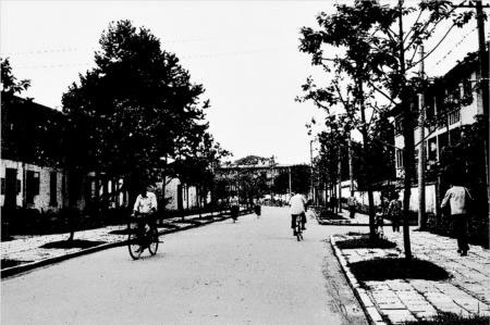 探秘福州小巷中的楊最新獨特風(fēng)味美食之旅