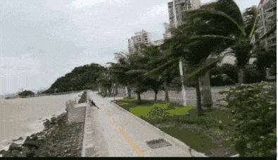 珠海臺(tái)風(fēng)最新動(dòng)態(tài)，風(fēng)雨中的勵(lì)志故事