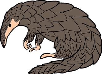 揭秘最新病毒資訊，你必須了解的事！