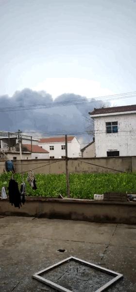 灌南最新動(dòng)態(tài)，自然美景探索之旅的治愈力量