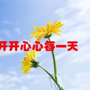 “最新貓咪動態(tài)”,最新貓咪動態(tài)，小巷深處的貓步輕揚特色小店