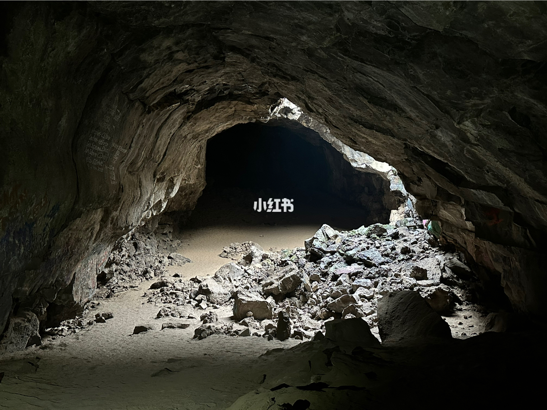 洞明星，光環(huán)下的反思與深度洞察