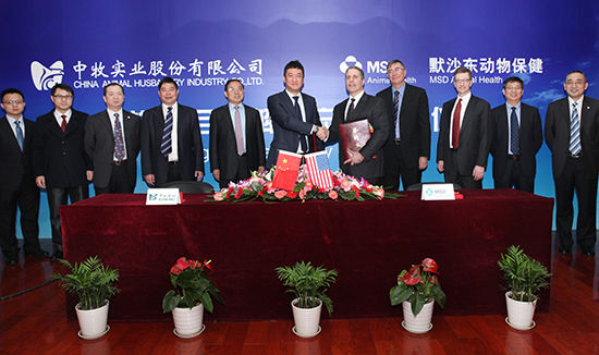 中牧股份最新動態(tài)，行業(yè)巨頭引領畜牧業(yè)發(fā)展