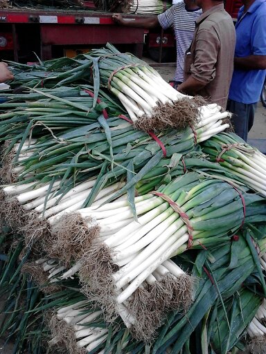 安丘大蔥最新價格動態(tài),安丘大蔥最新價格動態(tài)，小巷深處的蔥香秘境