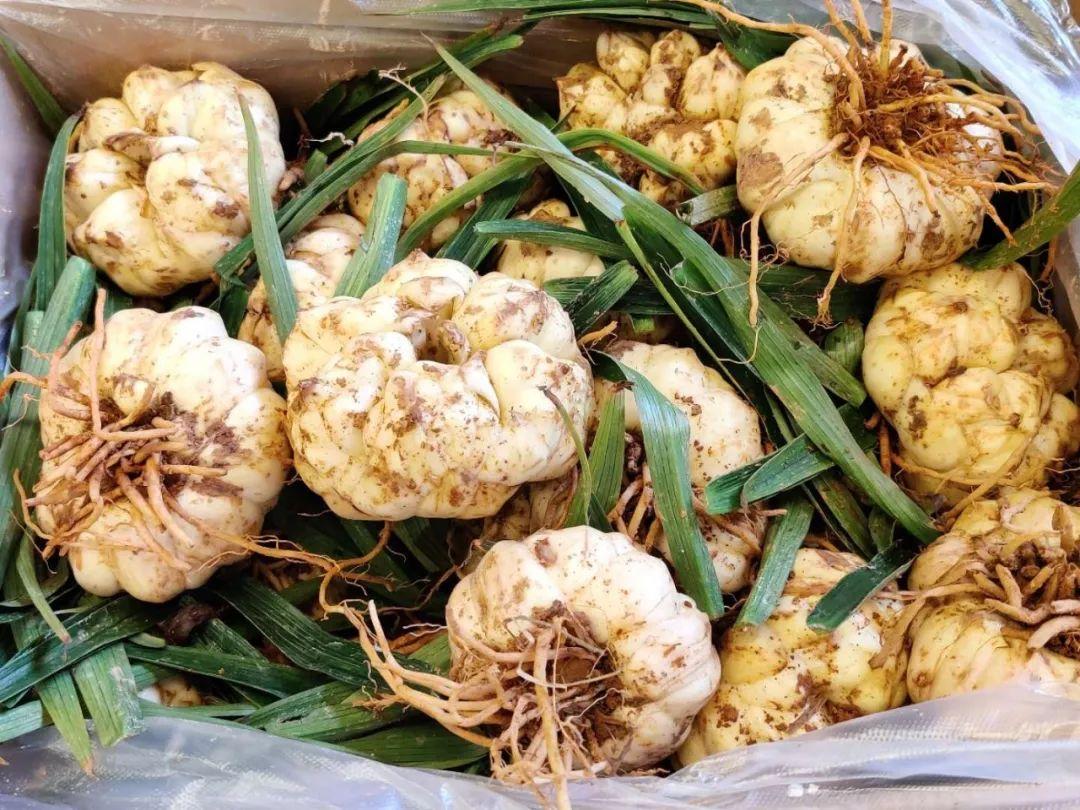 豇豆價格最新行情，科技智能引領(lǐng)生活，應(yīng)用升級再掀波瀾