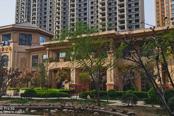 安陽帕提歐，巷深美食秘境，最新資訊盡在其中！