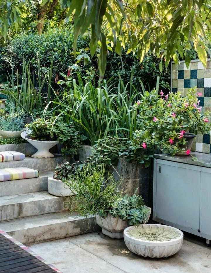 妙手回春再現(xiàn)輝煌，傳統(tǒng)醫(yī)術的再生與最新進展