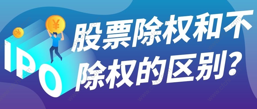 除權股票，小巷特色小店的隱秘寶藏與奇妙故事