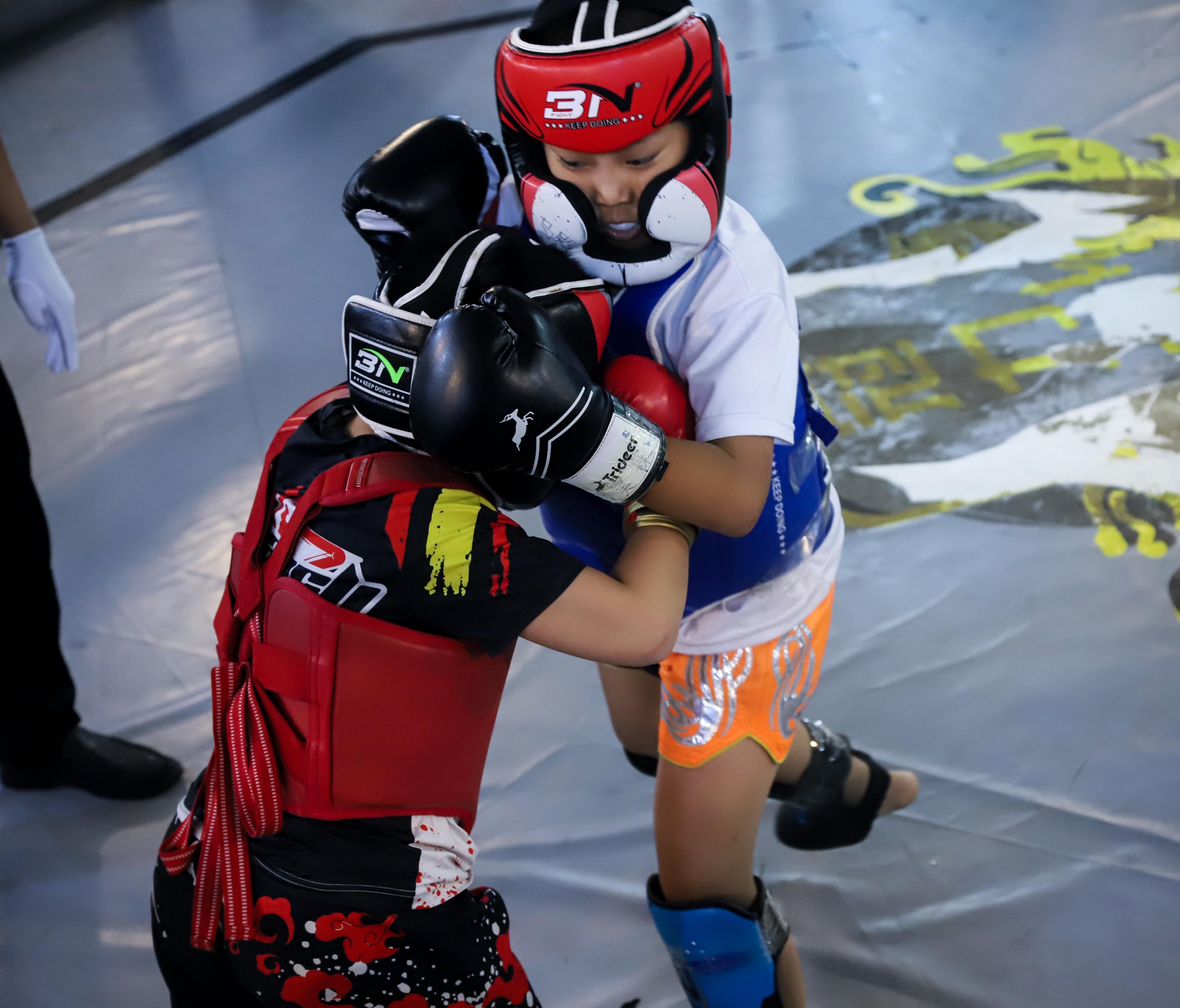 青少年搏擊比賽，熱血青春的榮耀戰(zhàn)場對決