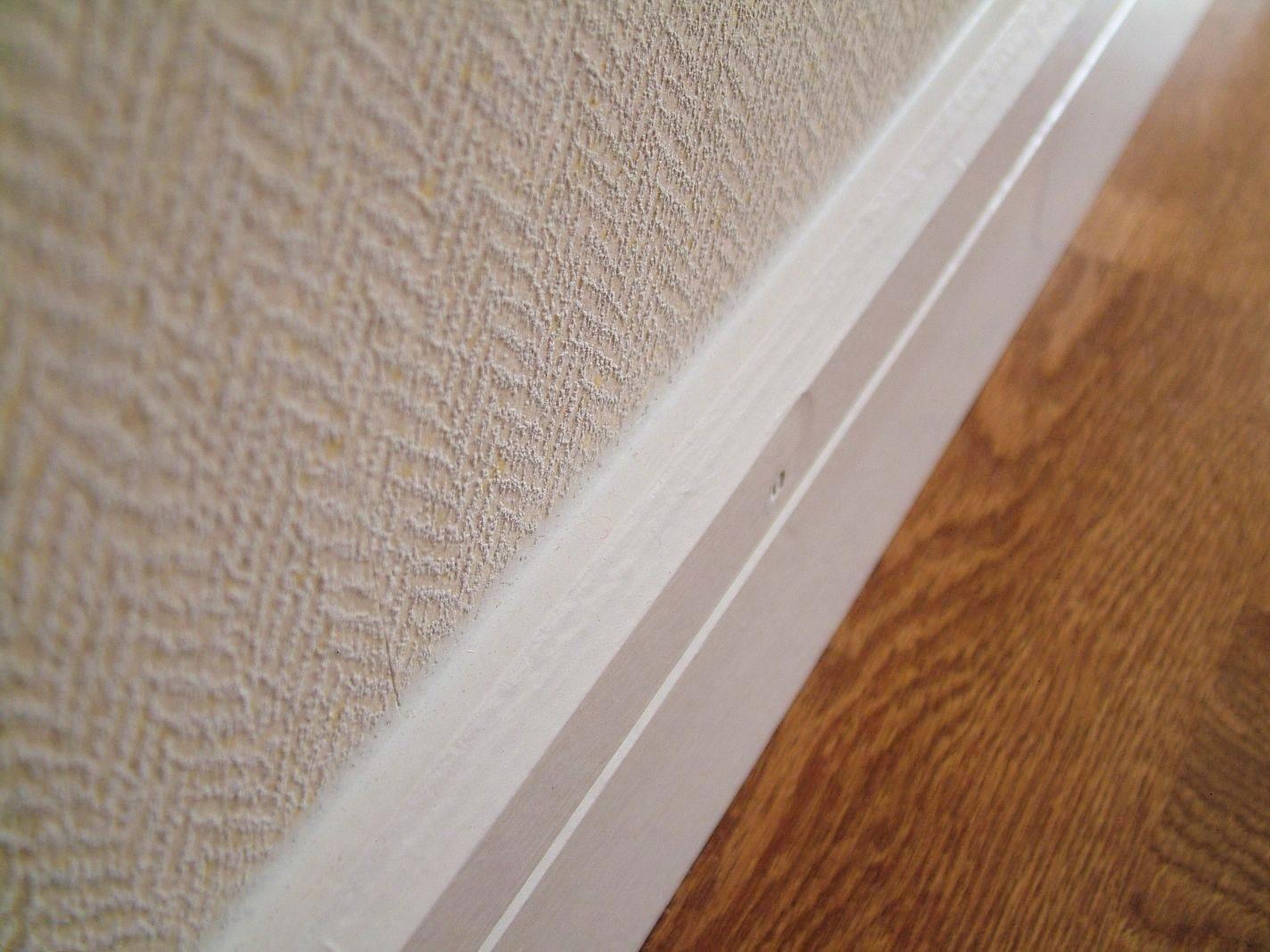 溫馨日常與友情紐帶，愛與陪伴的溫馨故事