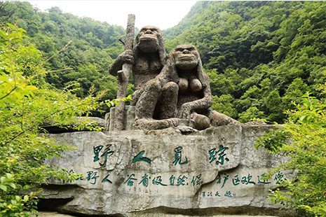 神農(nóng)架景區(qū)門票價格詳解，全方位了解門票費用