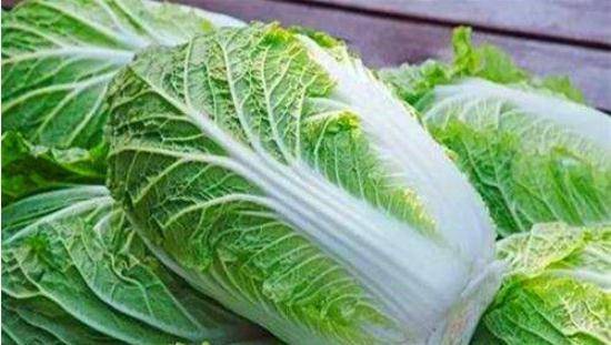 優(yōu)質(zhì)大白菜購買指南，價格查詢與選購要點詳解