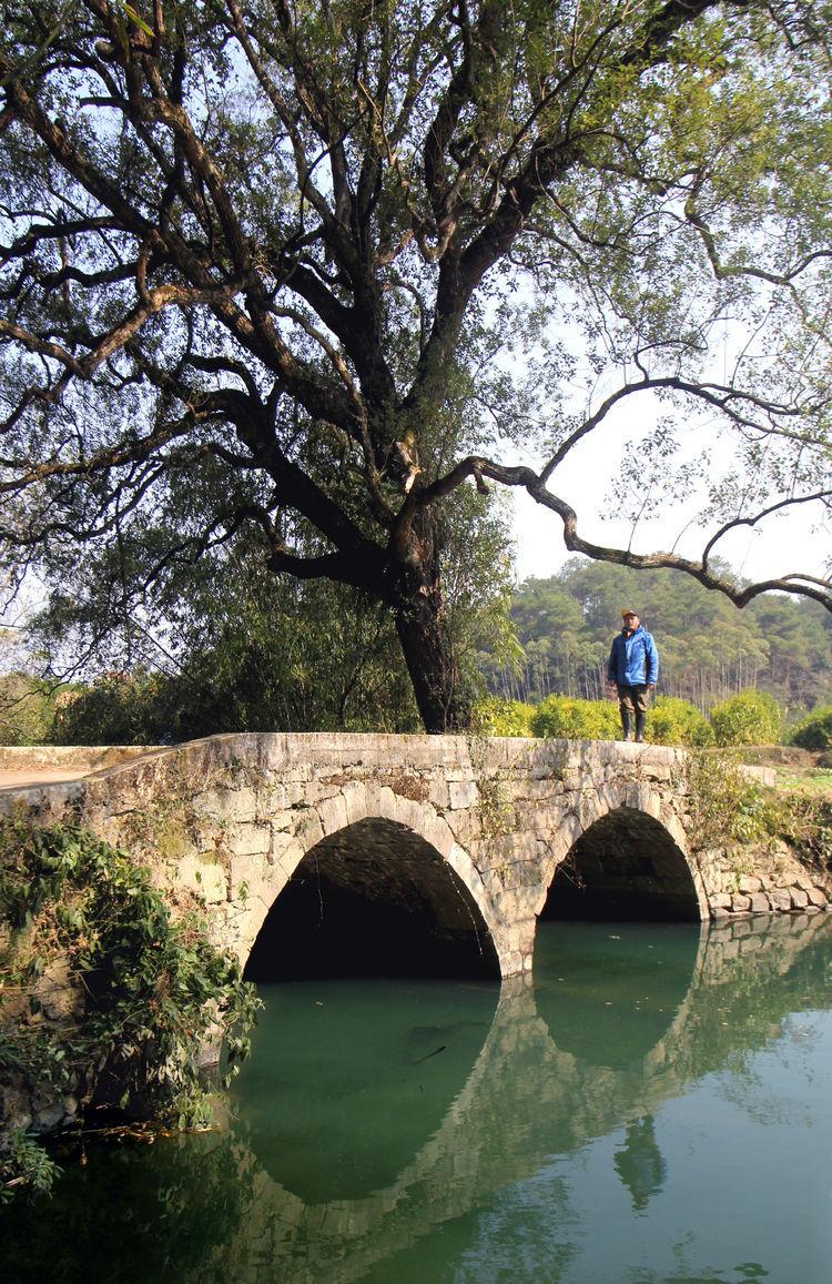 桂林兒童落水事件最新進(jìn)展與應(yīng)對(duì)步驟指南揭秘