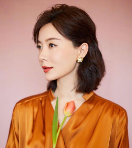 陳數(shù)老公揭秘，深度解析與觀點闡述