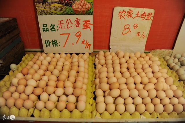 當前雞蛋價格行情分析與展望